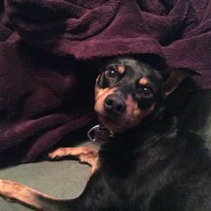 Meet your Posher, Brian